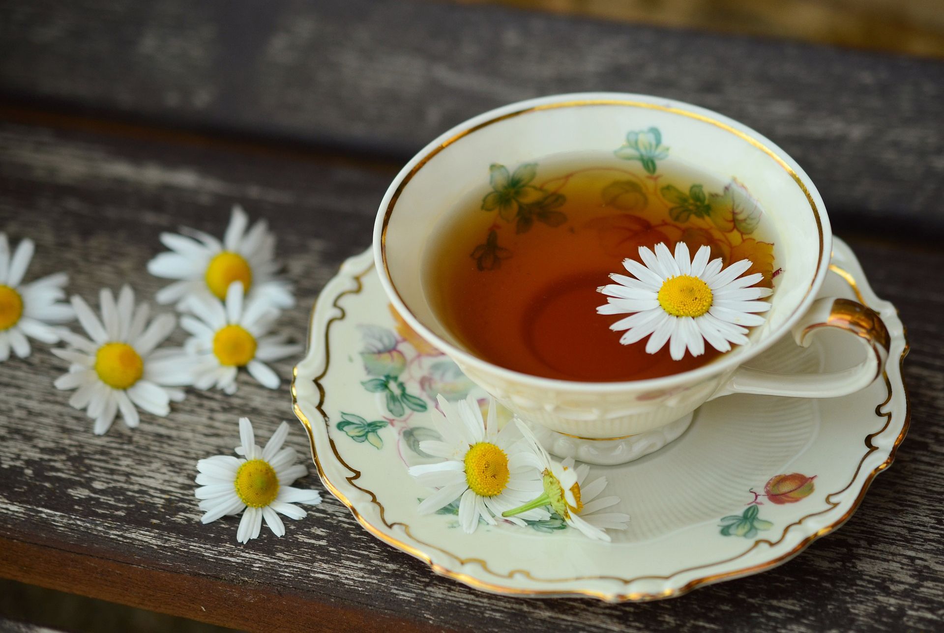 teacup with tea and a daisy floating in it on table with more daisies